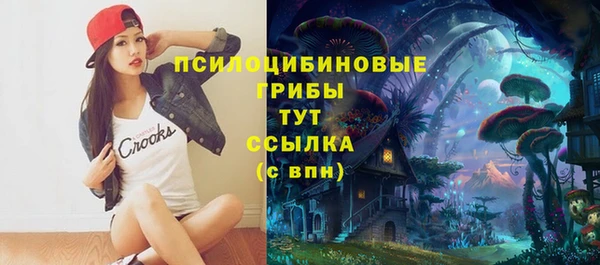 эйфоретик Алзамай