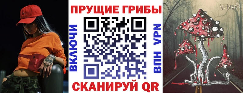 ссылка на мегу tor  Орехово-Зуево  Псилоцибиновые грибы GOLDEN TEACHER 
